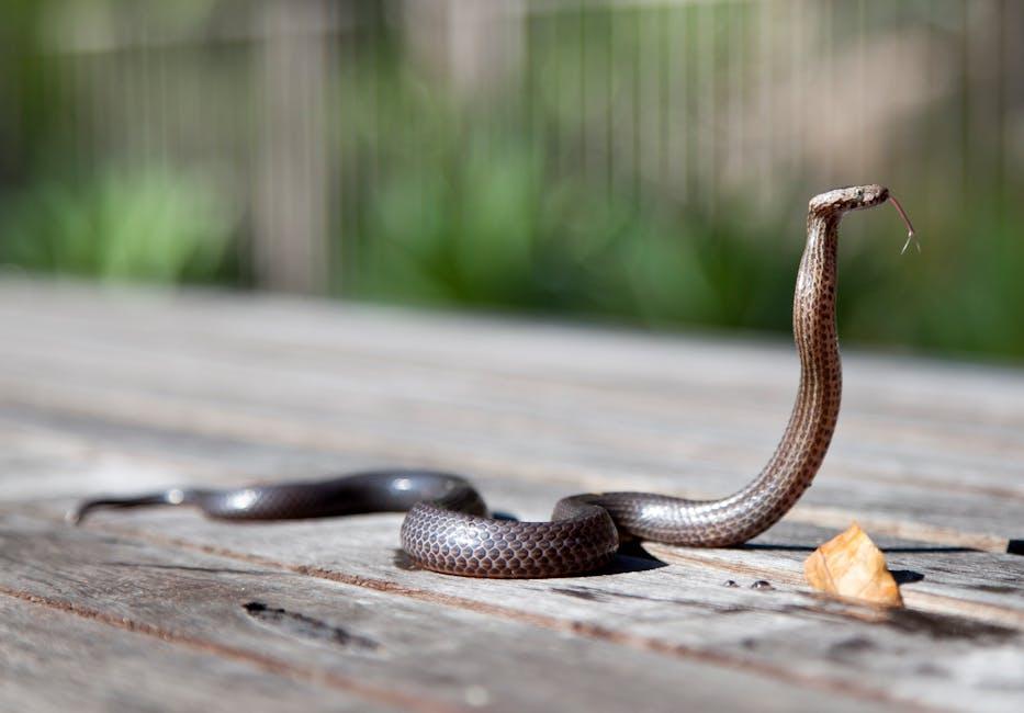 Styling with‍ Snakes: Tips ⁢for⁢ Incorporating Serpentine⁢ Pieces into⁢ Your Wardrobe